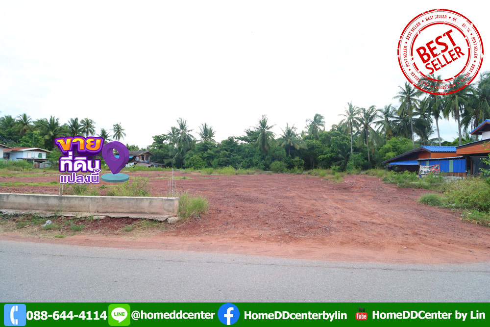 ที่ดิน ถ.พระราม 2 บางขันแตก อ.เมือง สมุทรสงคราม ติดถนนลาดยาง ใกล้ตลาดอัมพวา